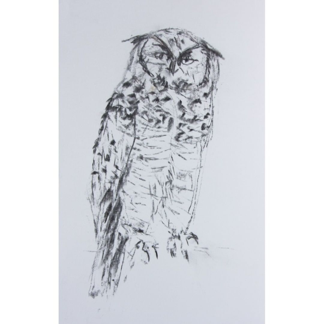 Posted 1 May 2018 width=