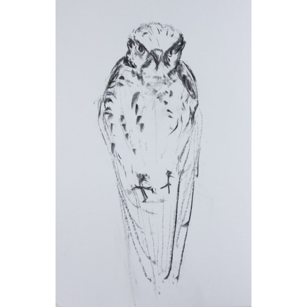 Posted 1 May 2018 width=