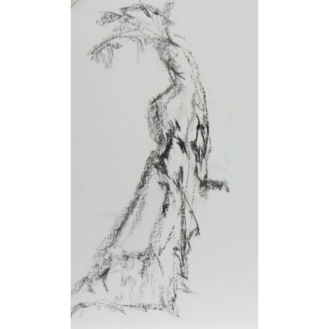 Posted 8 May 2018 width=