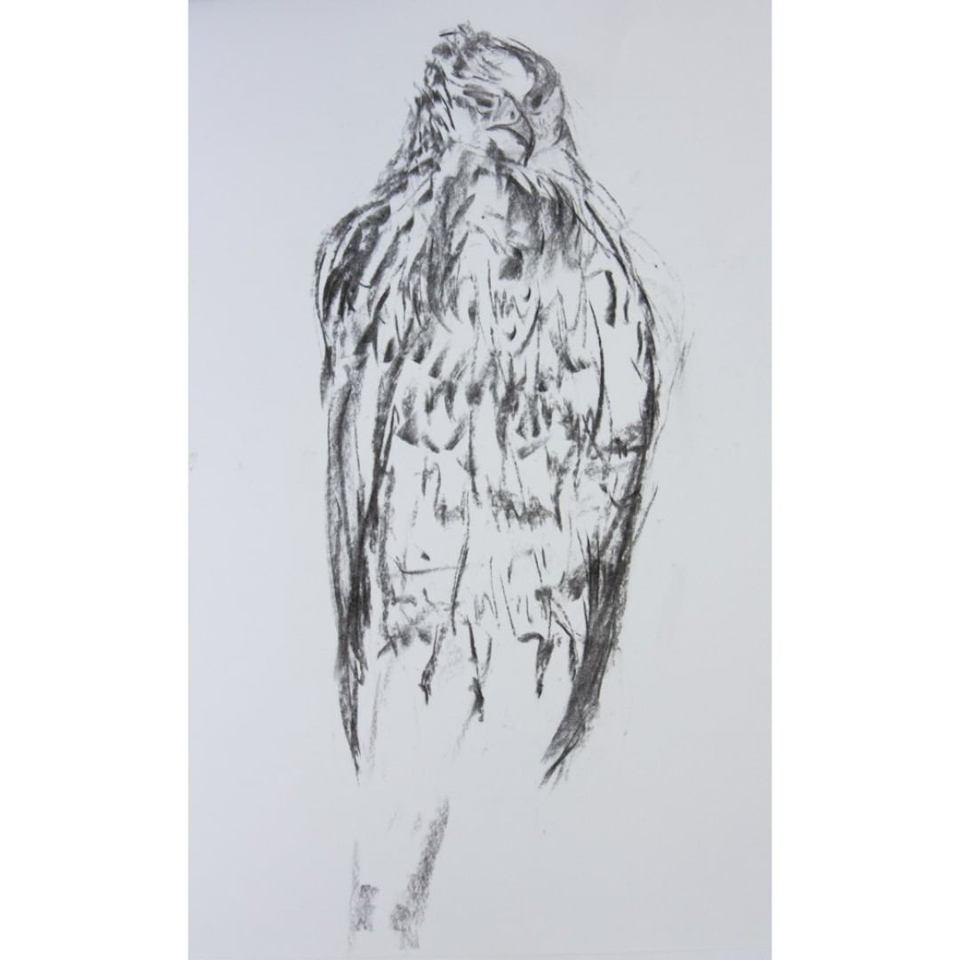 Posted 1 May 2018 width=