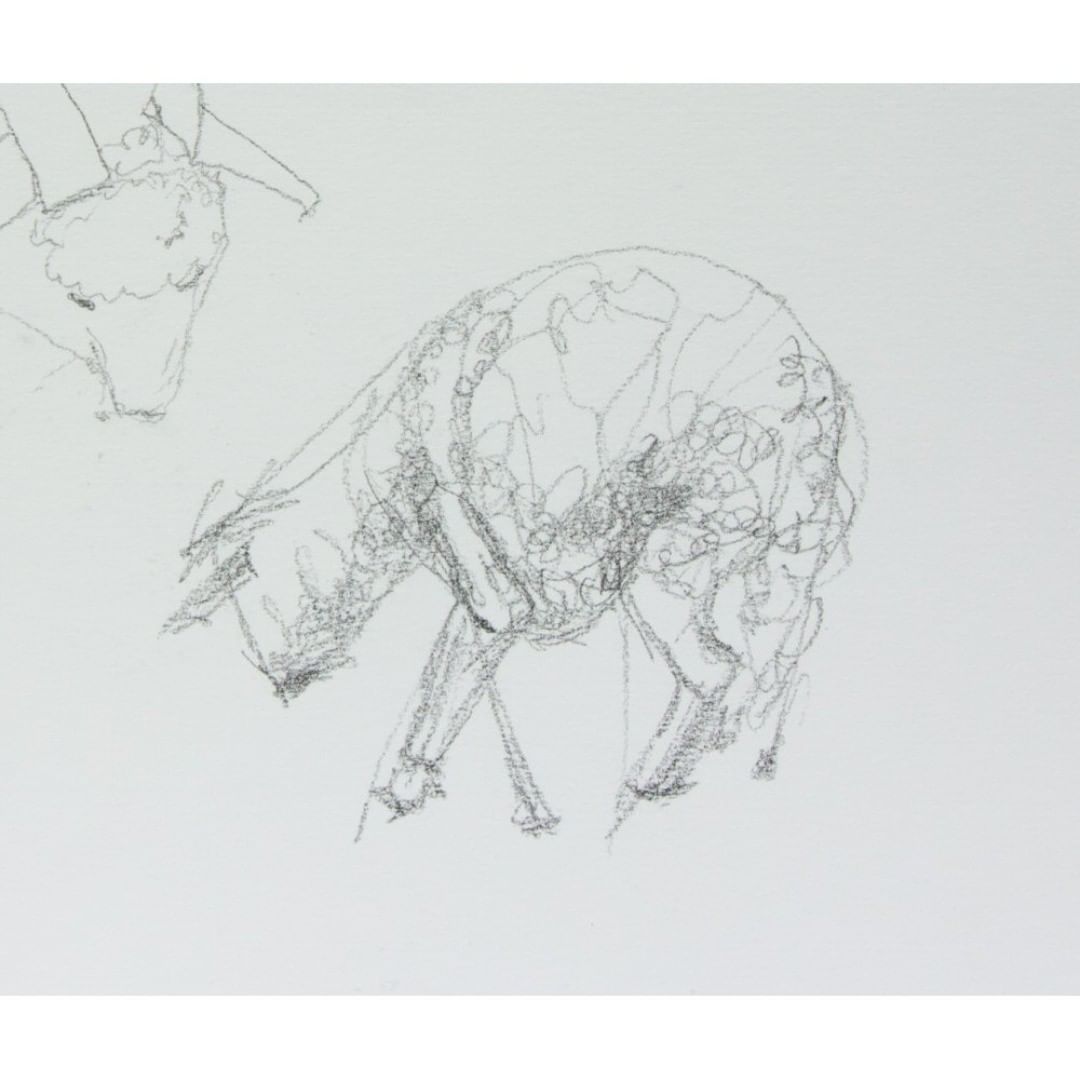 Posted 9 July 2018 width=