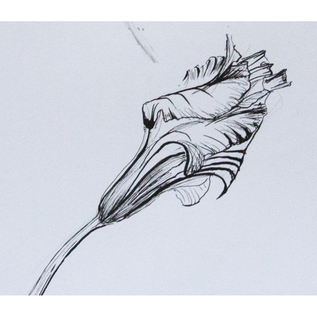 Posted 1 October 2018 width=