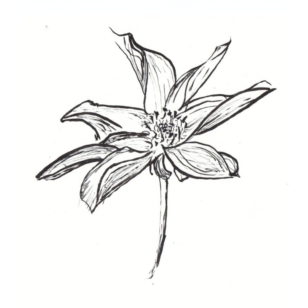 Posted 8 October 2018 width=