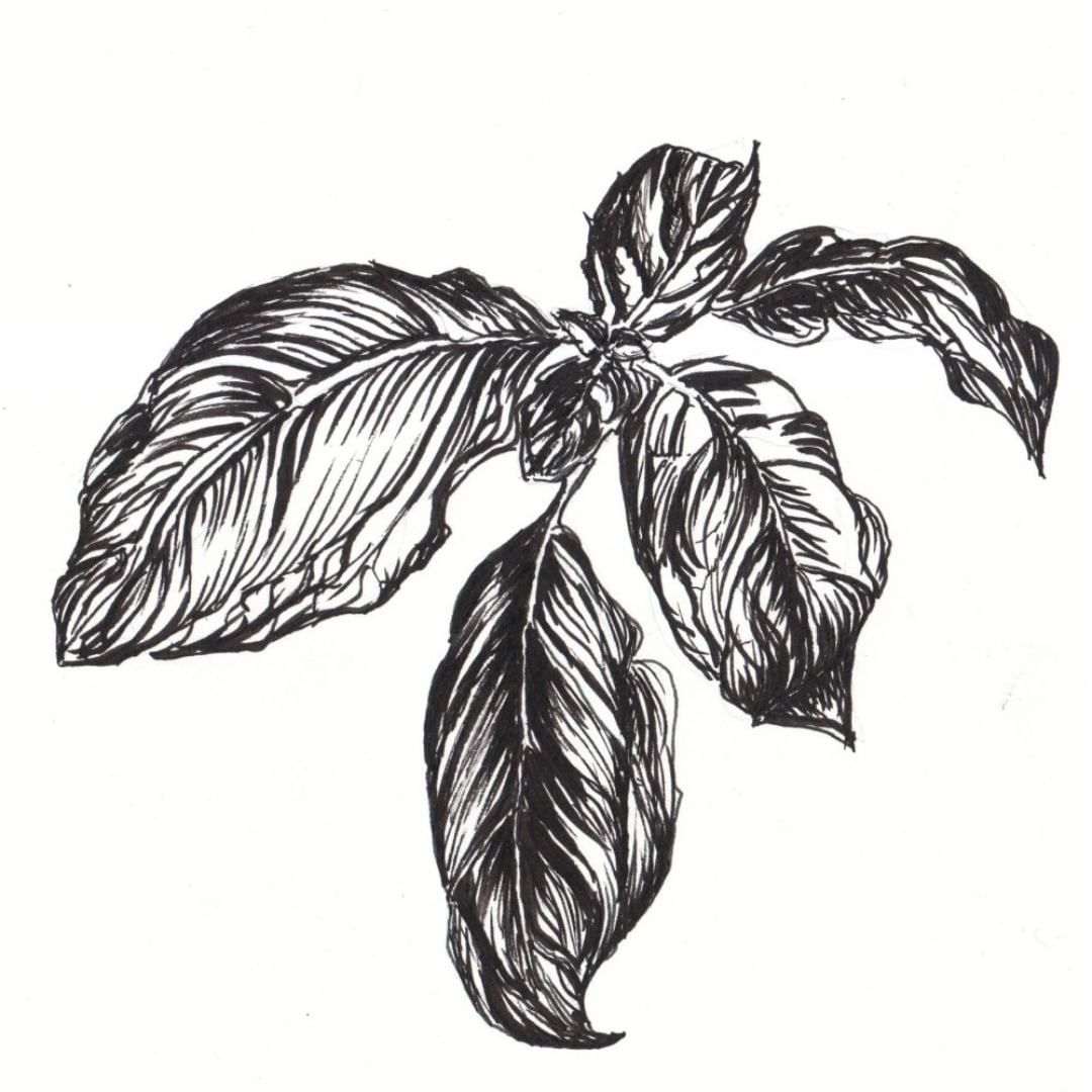 Posted 22 October 2018 width=