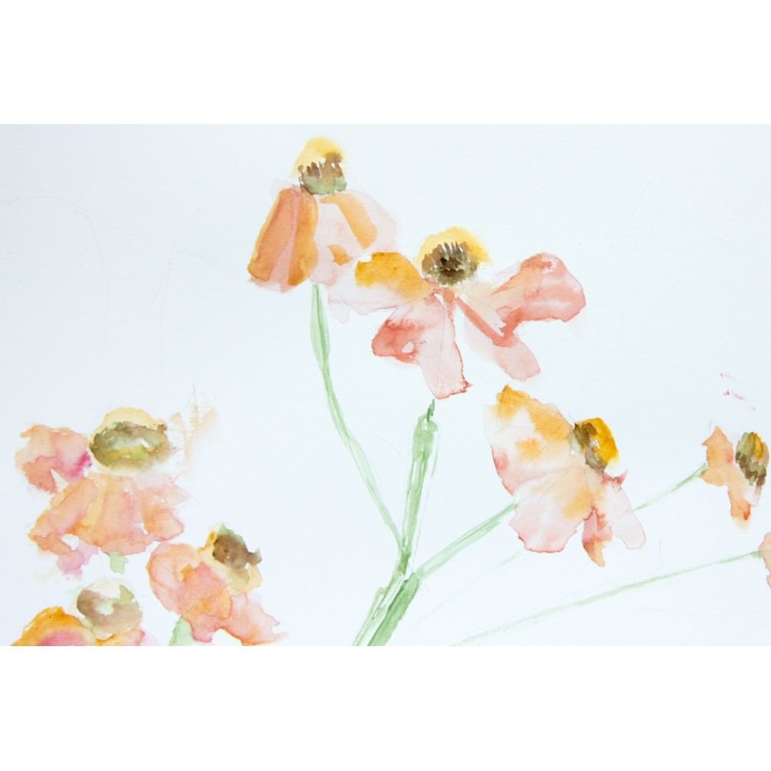 Posted 2 October 2018 width=