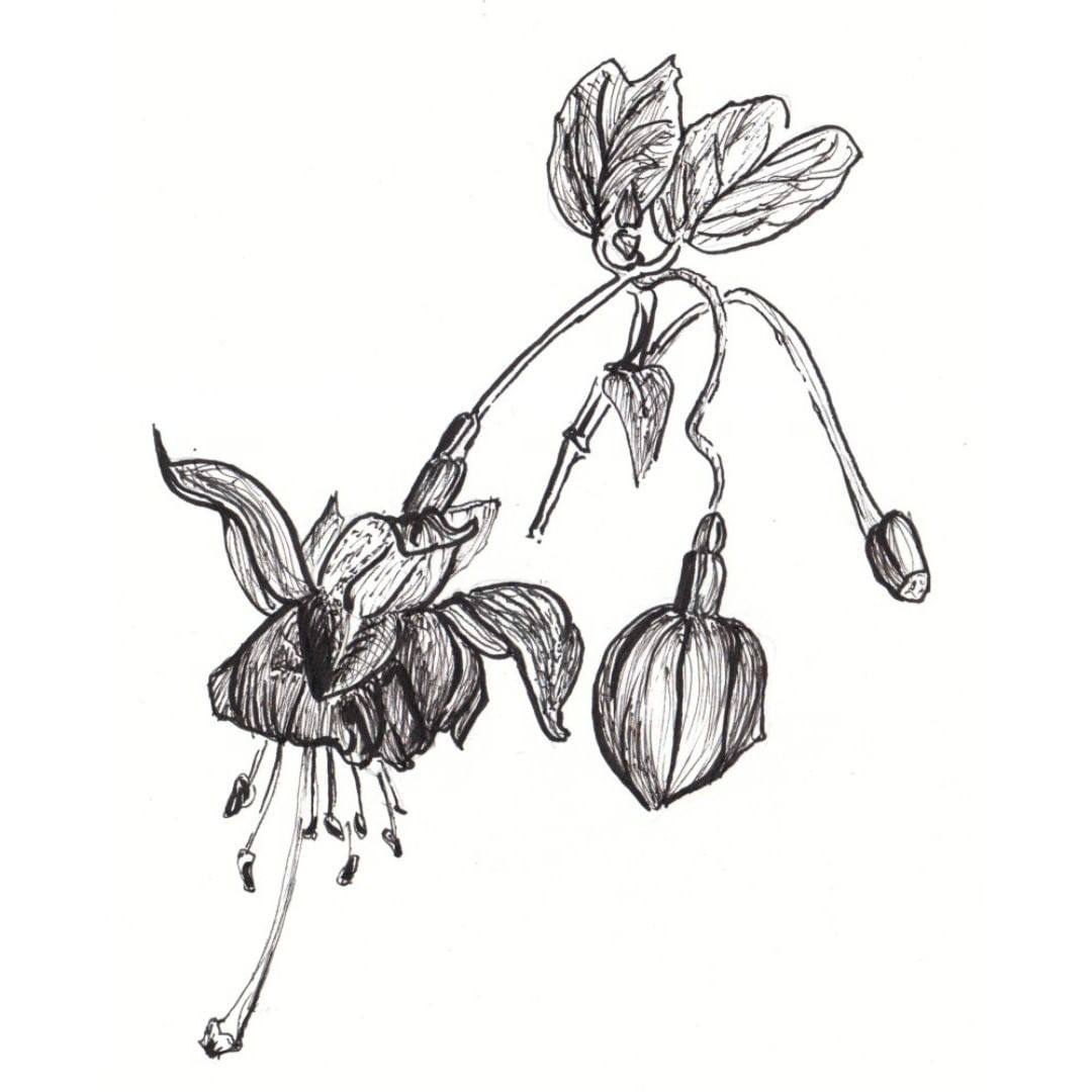 Posted 21 October 2018 width=