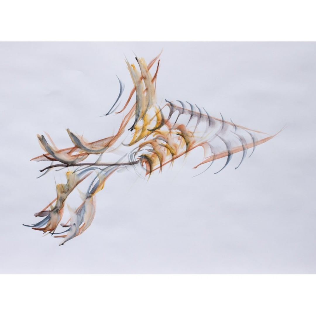 Posted 23 July 2019 width=