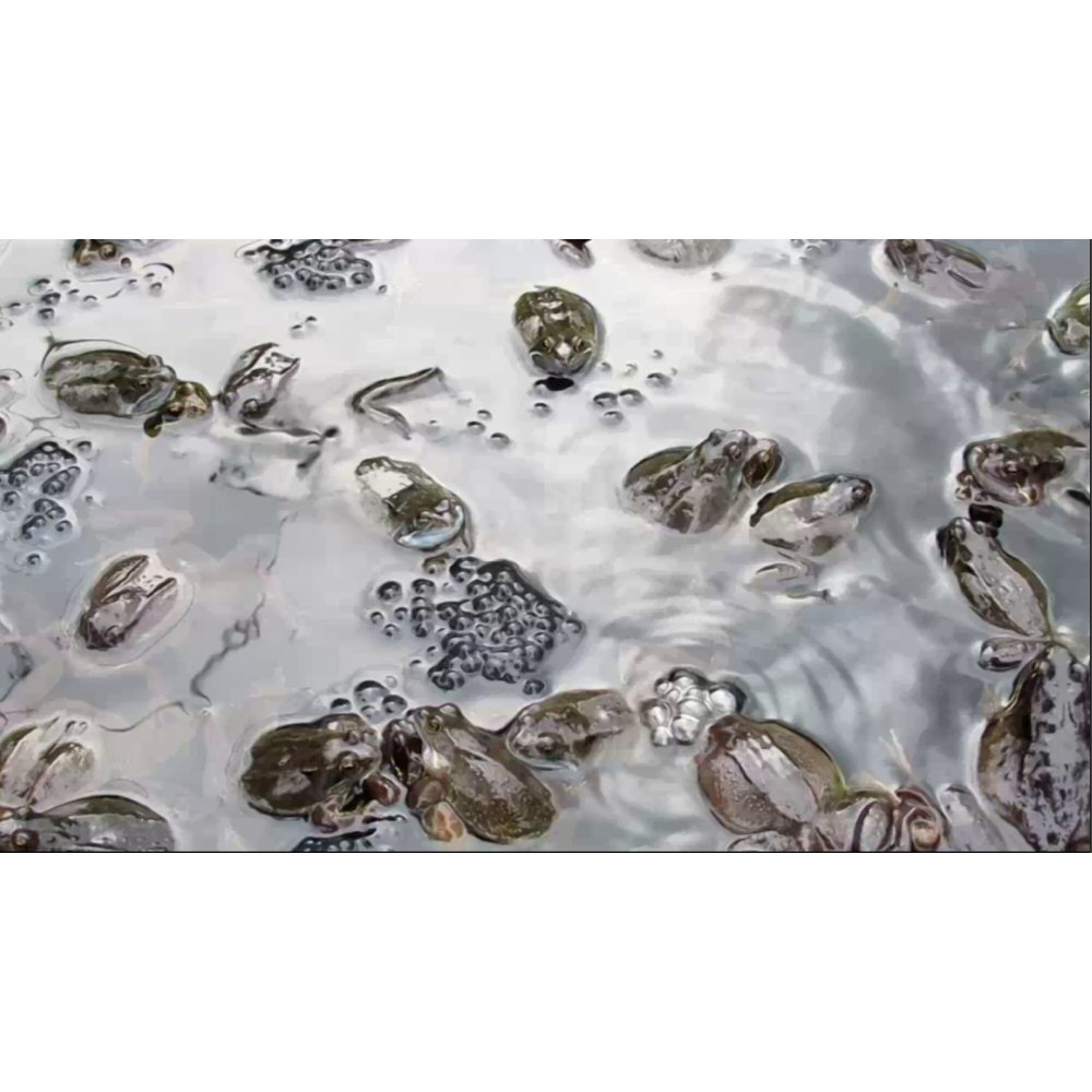 Posted 3 March 2019 width=